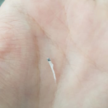 Baby Turco Bez İçinde Bilinmeyen Cisim