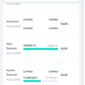 Alliaz Tamamlayıcı Sağlık Sigortası Fizik Tedavimi Karşılamıyor