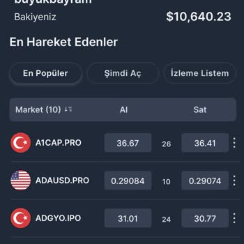 İnteraktif Yatırım Yüksek Kar Vaadiyle Yatırım Yaptım, Para Çekemiyorum