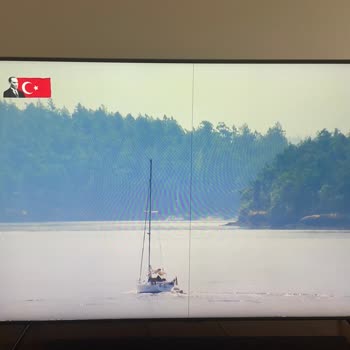 Samsung TV'de Ekranda Siyah Çizgi Problemi