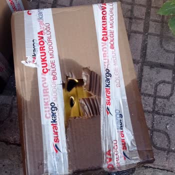 Sürat Kargo Kargo Şirketi Ve Tüketici Hakları