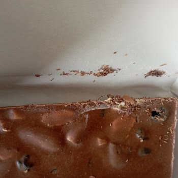 Bolçi Çikolata Bozulmuş Üzerinde Örümcek Ağları Var!