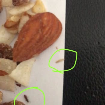 Çerezya Kuruyemiş Böcek Ve Kurt Çıktı