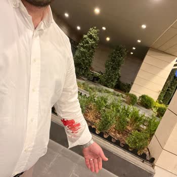 Topkapı Koç Hastanesi'ndeki Kan Alma İşlemi