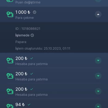 7Slots 24 Saattir Para Hesabıma Düşmedi