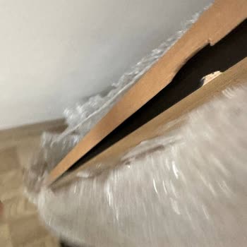 IKEA Değişim Talebinin Saçma Şekilde Uzaması!