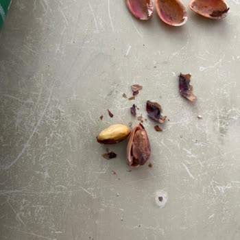 Amigo'nun Çürük Fıstık Satması