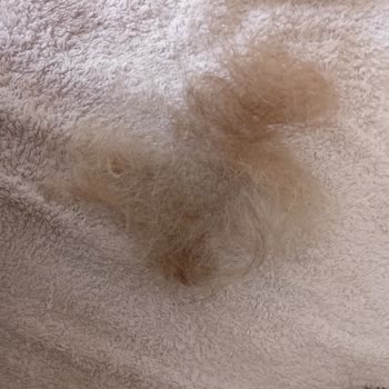 Paris Kuaför (Gaziantep) Paris Kuafor Pişmanlığı