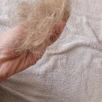 Paris Kuaför (Gaziantep) Paris Kuafor Pişmanlığı