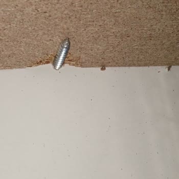 Evimo Eşya Borsası Kötü İşçilik Kötü Malzeme Kullanımı