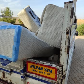Vivense Büyükbaş Hayvan Taşıyan Araçla Eşya Gönderdi