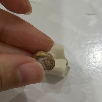 Çitlekçi Lokumun İçinden Taş Çıktı