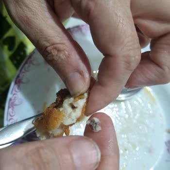 Lezita Nuggetin İçinden Çıksak Siyah Şey