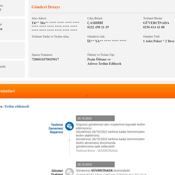 MNG Kargo Güvercinada Teslimat Problemi