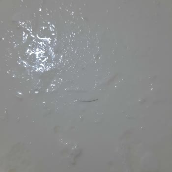 İçim Yoğurttan Kıl Çıktı