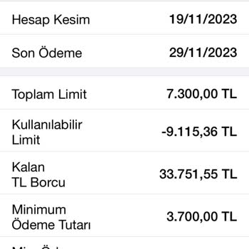 Garantibankası Olmayan Borcu Sistemde Göstermesi