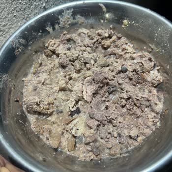 İlkeral Gıda (Pati Life) Yaş Mamalarını Kediler Yemedi, Çok Kötü Kokuyor Ve Görünüyor