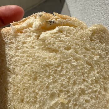 UNO Ekmekten Çıkan Madde!