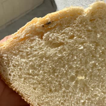 UNO Ekmekten Çıkan Madde!