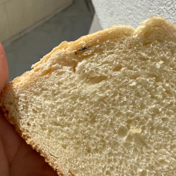 UNO Ekmekten Çıkan Madde!