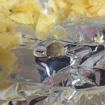 Lays Cipsin İçinden Taş Çıktı