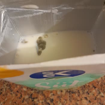 Sek Süt Bozuk Sut Üretimi