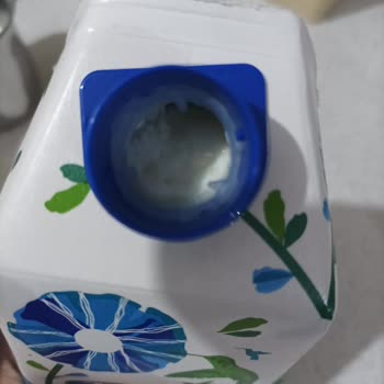 Torku Bozulmuş Süt Peynir Olmuş