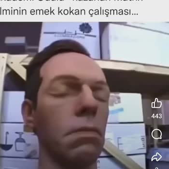 Samsung A33 Ekran Sorunu