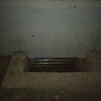 Bursa Büyükşehir Belediyesi Alemdar Mahallesi'nde Aşırı Böcek Problemi