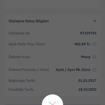 Allianz Hayat ve Emeklilik Bireysel Emeklilik Otomatik Katılım Sistemi Problemi