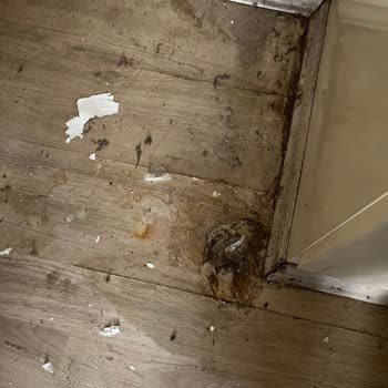 Aksigorta Ev Eşya Sigortası Hiçbir Şeyi Karşılamıyor.