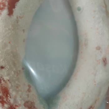 Polonez Et Ürünleri Sağlıksız Hatalı Ürün