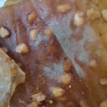 Tarım Kredi Market'ten Aldığım Pestil Küflü Çıktı