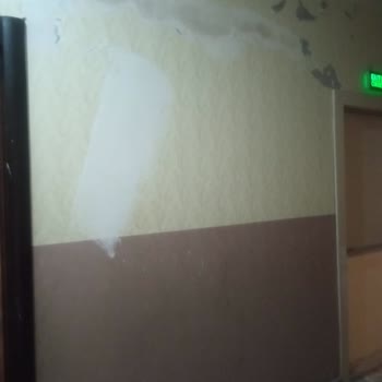 DASK (Doğal Afet Sigortaları Kurumu) Atanan Eksper Gelmedi