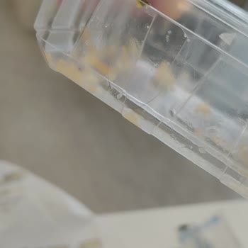 Murat Baklava & Kebap Sağlığı Tehdit Eden