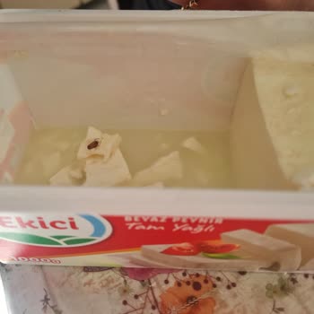 Ekici Peynir Peynirin İçindeki Böcek