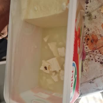 Ekici Peynir Peynirin İçindeki Böcek