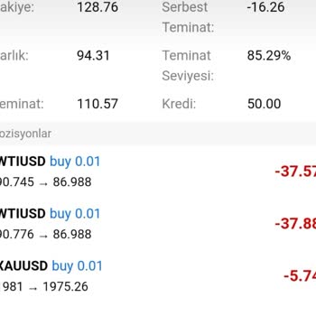 ALZ Investing Alz Yatırım Danışmanlık