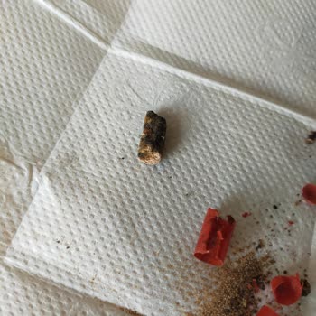 RC Farma İlaç Ligone Beta Glucan Küflü!