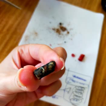 RC Farma İlaç Ligone Beta Glucan Küflü!