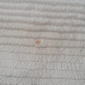 Baturoğlu Halı Yıkama (Ümraniye) Lekeli Halılar Geri Geldi