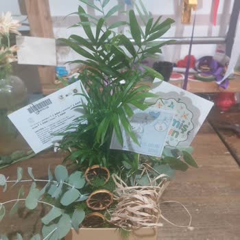 Çiçek Sepeti Satıcı Üslup Bozukluğu