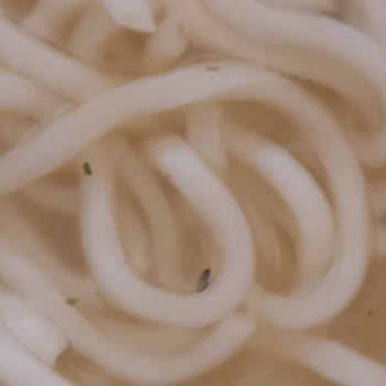 Dudomi Noddle'nin İçinden Böcek Çıktı