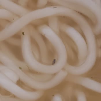 Dudomi Noddle'nin İçinden Böcek Çıktı