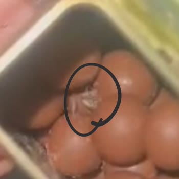 Mergenbox Hediye Kutusundan Böcek Çıktı