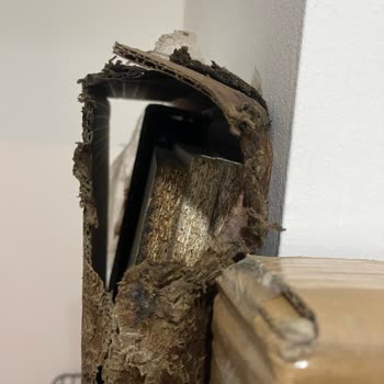 Aras Kargo Şırnak Cizre Şubesi