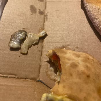 Domino's'un Dikkatsizliği & Alayı