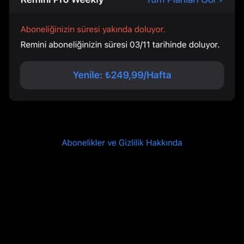 Remini Abonelik İptali İçin Yardım