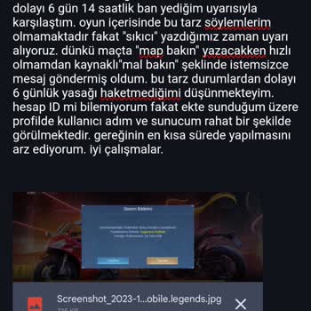 Mobile Legends Bang Bang Oyunu "uygunsuz Sohbet" Ban
