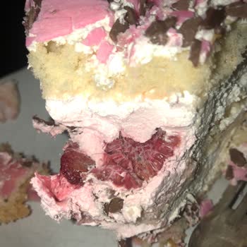 Tatbak Gıda Bozuk Meyveli Pasta